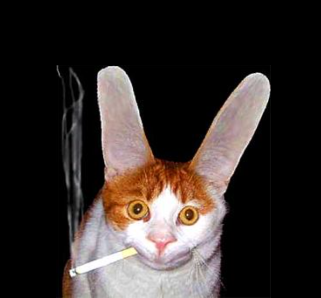 A ginger and white cat with absurdly long ears and a lit cigarette in its mouth.